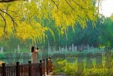 足球比分网分-探秘足球比分网分，足球世界的数字密码与价值解析